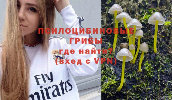 МДПВ Абинск
