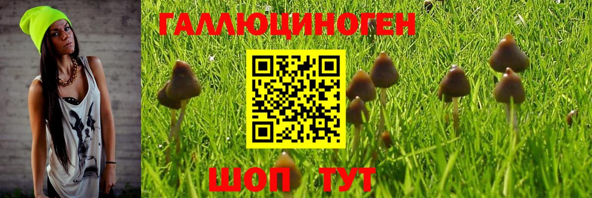 Галлюциногенные грибы GOLDEN TEACHER  Вход с VPN  Шумерля 