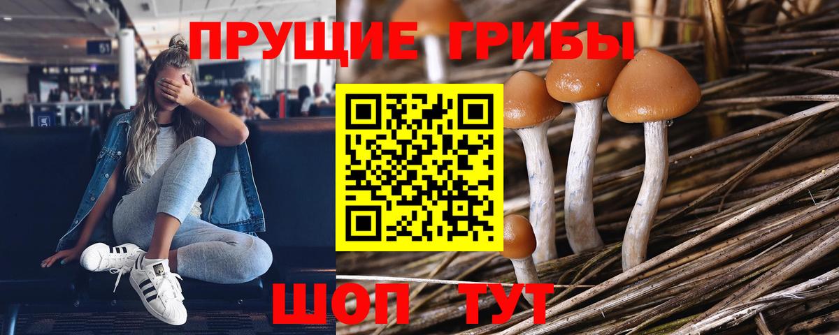 Псилоцибиновые грибы мухоморы Шумерля