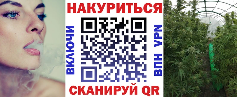mega зеркало  продажа наркотиков  Шумерля  Бошки марихуана тримм 